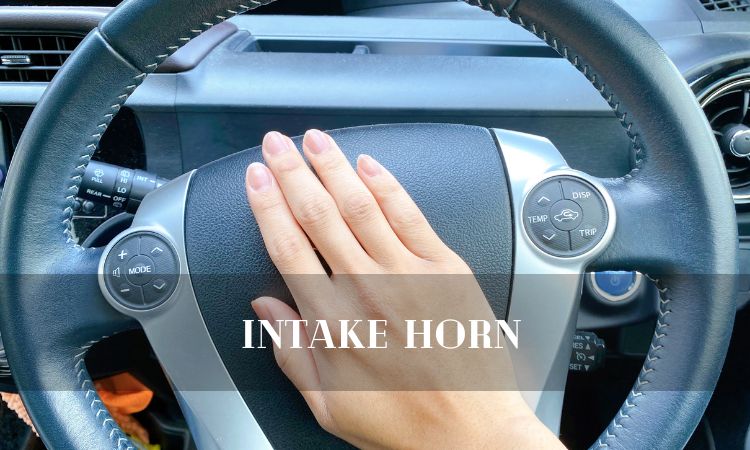 Intake Horn