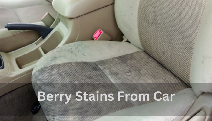 Berry Stains From Car