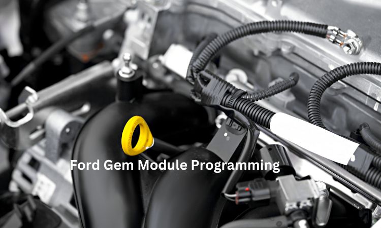 Ford Gem Module Programming